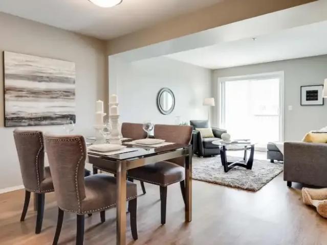 Apartment 1 Bedroom For Rent Edmonton AB 1598 ES103919830