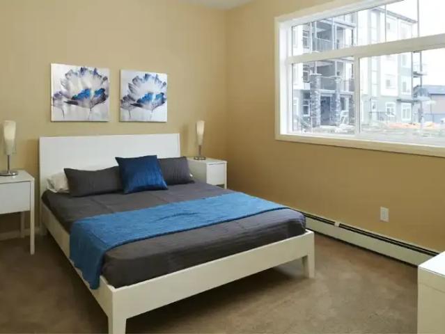 Apartment 1 Bedroom For Rent Edmonton AB 1610 ELS101876815
