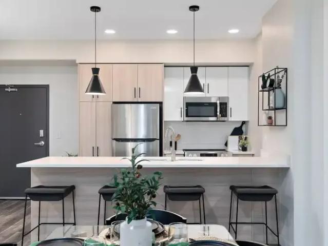 Apartment 1 Bedroom For Rent Edmonton AB 1803 ES102914616