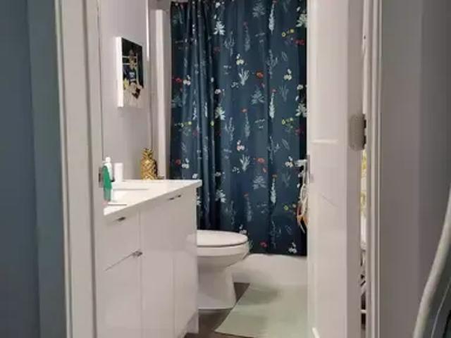 Apartment 1 Bedroom For Rent Edmonton AB 1000 ES102587467