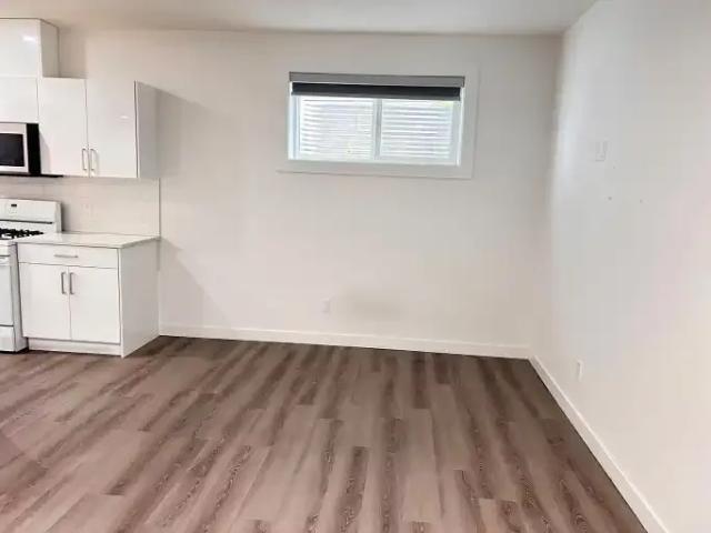Apartment 1 Bedroom For Rent Edmonton AB 1000 ES105135606