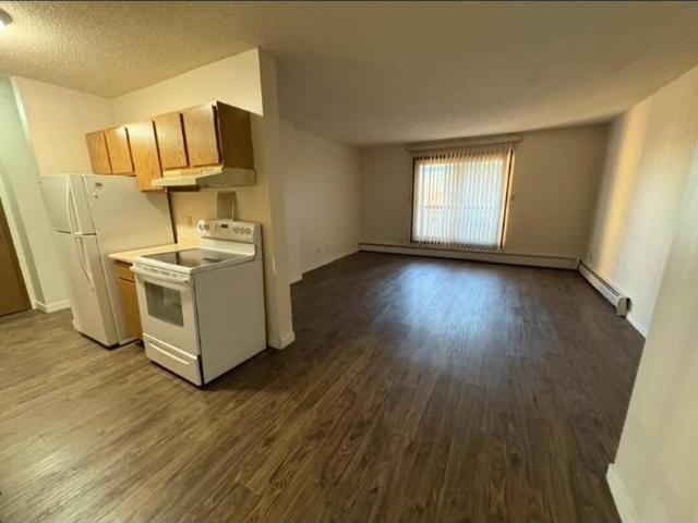 Apartment 1 Bedroom For Rent Edmonton AB 1050 ES98314937
