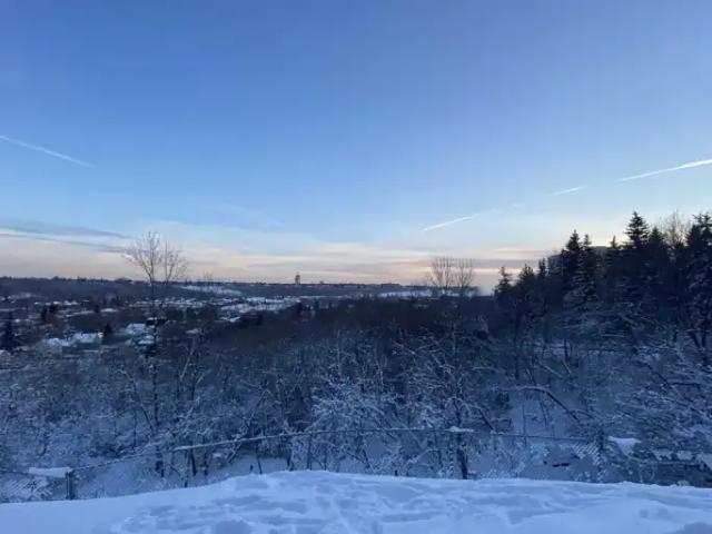 Apartment 1 Bedroom For Rent Edmonton AB 1079 ES101554362