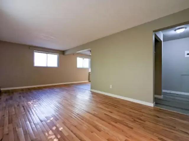Apartment 1 Bedroom For Rent Edmonton AB 1079 ES102752085