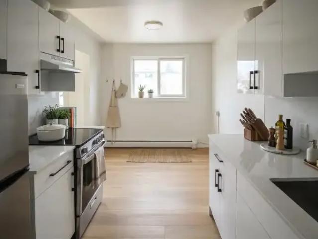 Apartment 1 Bedroom For Rent Edmonton AB 1095 ES100759272