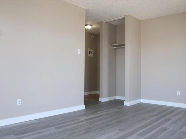 Apartment 1 Bedroom For Rent Edmonton AB 1099 ELS98310600