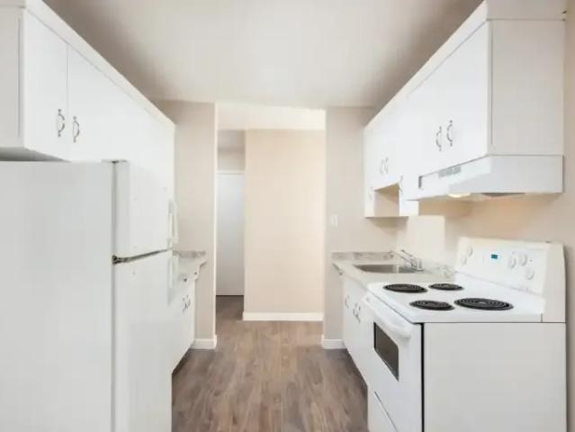 Apartment 1 Bedroom For Rent Edmonton AB 1100 ES101985586