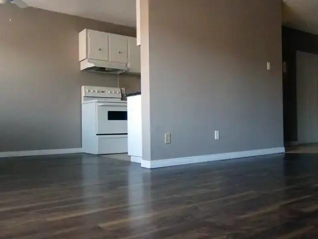Apartment 1 Bedroom For Rent Edmonton AB 1100 ES102657915