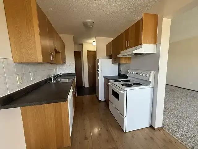 Apartment 1 Bedroom For Rent Edmonton AB 1100 ES102715170