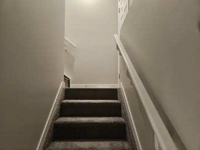 Apartment 1 Bedroom For Rent Edmonton AB 1100 ES104638487