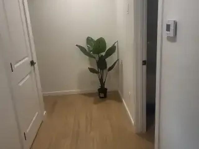 Apartment 1 Bedroom For Rent Edmonton AB 1100 ES105088087