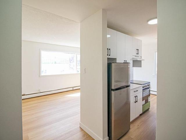 Apartment 1 Bedroom For Rent Edmonton AB 1125 ES98314873
