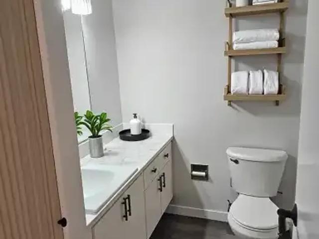 Apartment 1 Bedroom For Rent Edmonton AB 1125 ES103354973