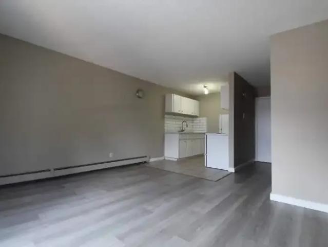Apartment 1 Bedroom For Rent Edmonton AB 1129 ES102338668