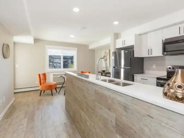 Apartment 1 Bedroom For Rent Edmonton AB 1130 ES101300545