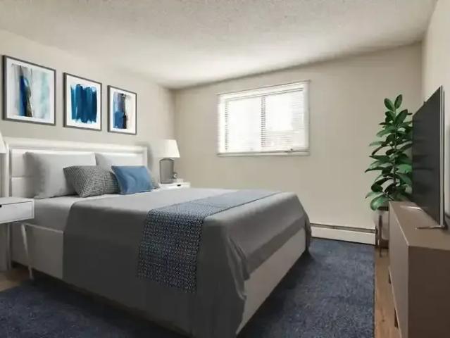Apartment 1 Bedroom For Rent Edmonton AB 1146 ES101825047