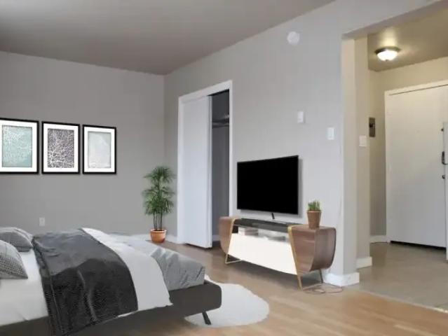 Apartment 1 Bedroom For Rent Edmonton AB 1149 ES99070033