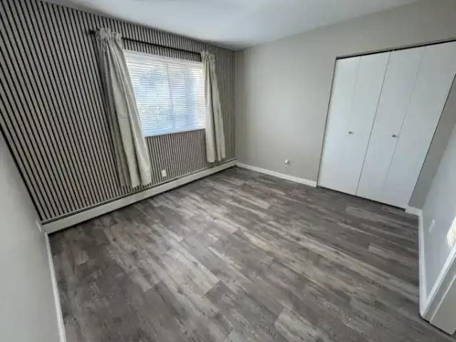 Apartment 1 Bedroom For Rent Edmonton AB 1150 ELS96463266