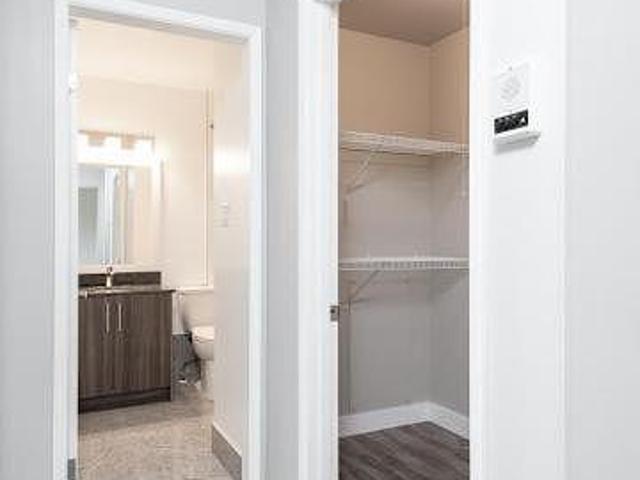 Apartment 1 Bedroom For Rent Edmonton AB 1150 ELS98309526