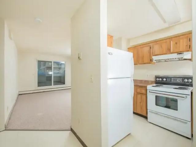 Apartment 1 Bedroom For Rent Edmonton AB 1160 ES103919824
