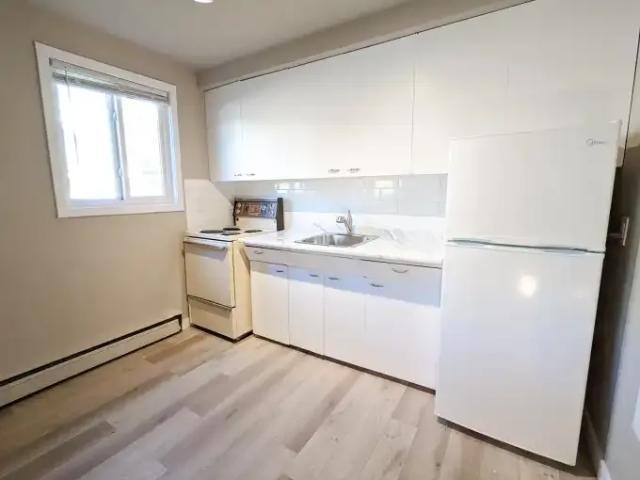 Apartment 1 Bedroom For Rent Edmonton AB 1176 ES100084181