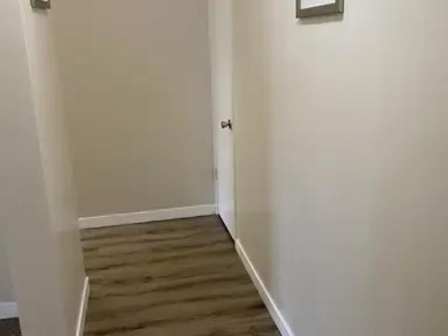 Apartment 1 Bedroom For Rent Edmonton AB 1200 ES94388719