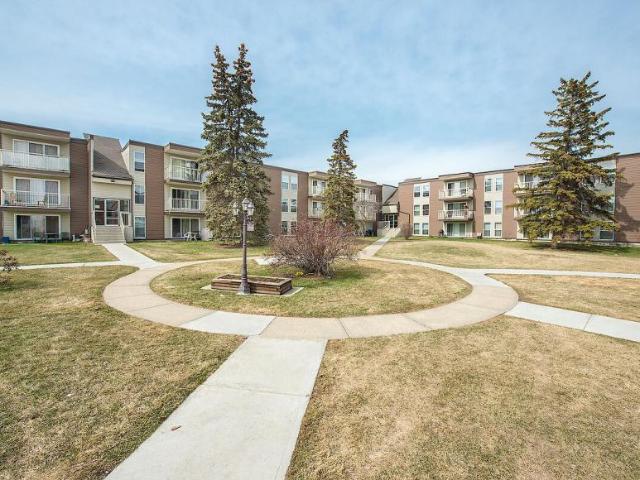 Apartment 1 Bedroom For Rent Edmonton AB 1200 ES98309558