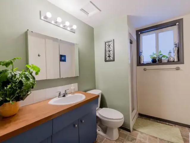 Apartment 1 Bedroom For Rent Edmonton AB 1200 ES103118669