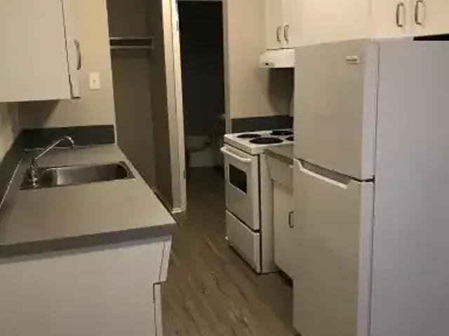 Apartment 1 Bedroom For Rent Edmonton AB 1200 ES103151763