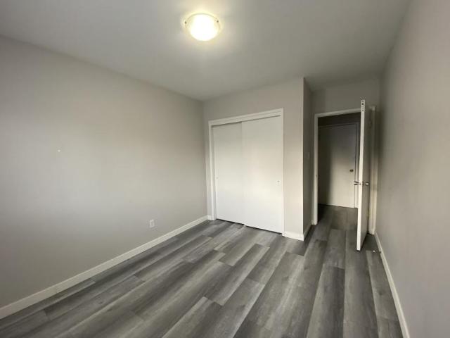 Apartment 1 Bedroom For Rent Edmonton AB 1201 ELS98311711