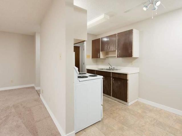 Apartment 1 Bedroom For Rent Edmonton AB 1250 ES91650769