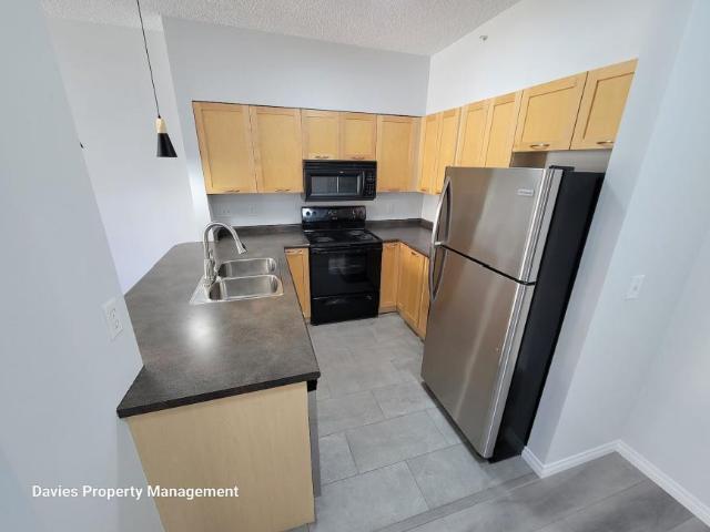 Apartment 1 Bedroom For Rent Edmonton AB 1250 ES98310545