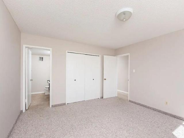 Apartment 1 Bedroom For Rent Edmonton AB 1250 ES98313215