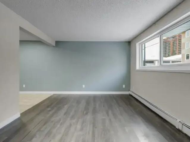Apartment 1 Bedroom For Rent Edmonton AB 1250 ES98631428