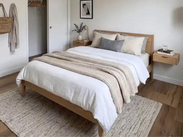 Apartment 1 Bedroom For Rent Edmonton AB 1250 ES101789533