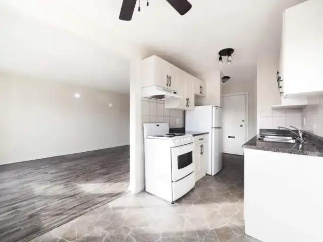 Apartment 1 Bedroom For Rent Edmonton AB 1250 ES101789357