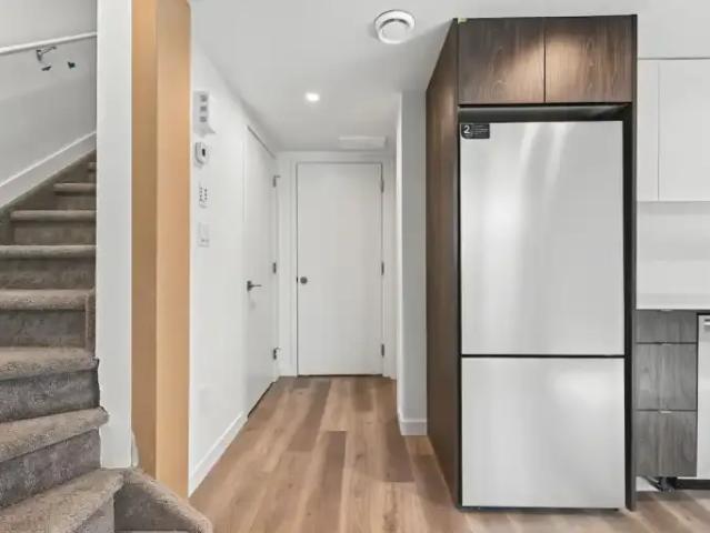 Apartment 1 Bedroom For Rent Edmonton AB 1250 ES101216553