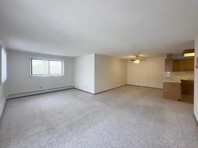 Apartment 1 Bedroom For Rent Edmonton AB 1250 ES102628996