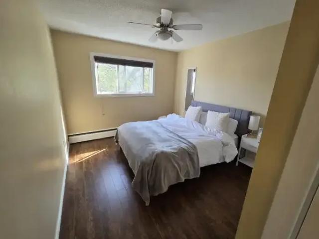 Apartment 1 Bedroom For Rent Edmonton AB 1250 ES103424735