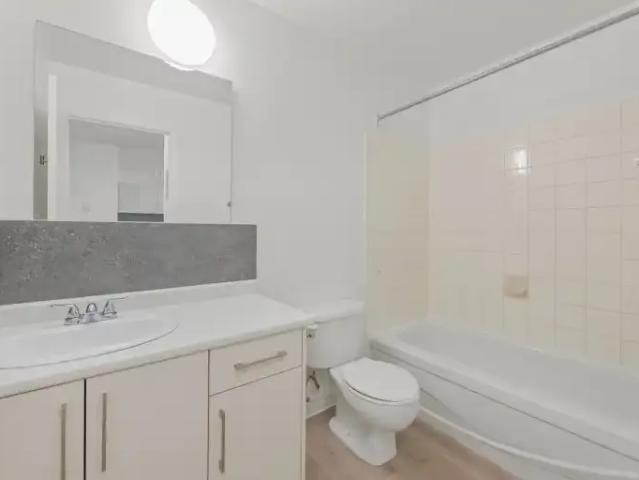 Apartment 1 Bedroom For Rent Edmonton AB 1250 ES103367960