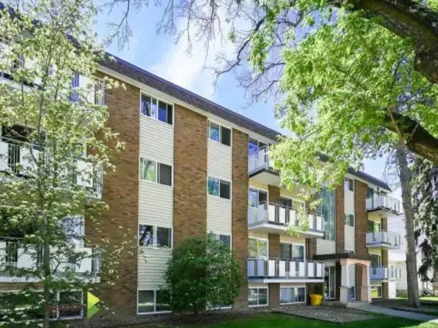 Apartment 1 Bedroom For Rent Edmonton AB 1250 ES104863165