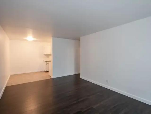 Apartment 1 Bedroom For Rent Edmonton AB 1250 ES104256876