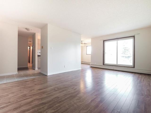 Apartment 1 Bedroom For Rent Edmonton AB 1285 ES98311780