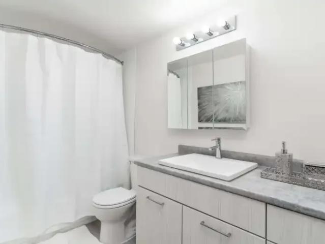 Apartment 1 Bedroom For Rent Edmonton AB 1289 ELS97702496