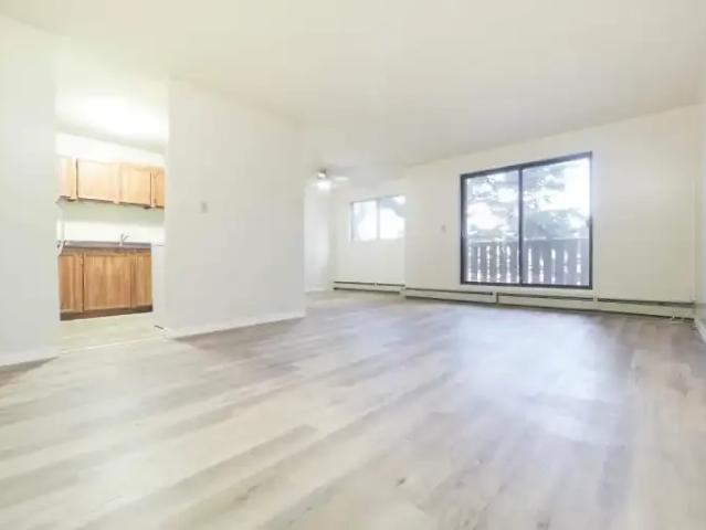 Apartment 1 Bedroom For Rent Edmonton AB 1295 ES101825561