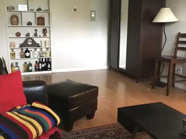 Apartment 1 Bedroom For Rent Edmonton AB 1295 ES103424632
