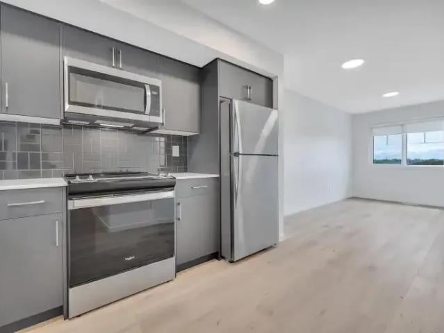 Apartment 1 Bedroom For Rent Edmonton AB 1300 ES102752534