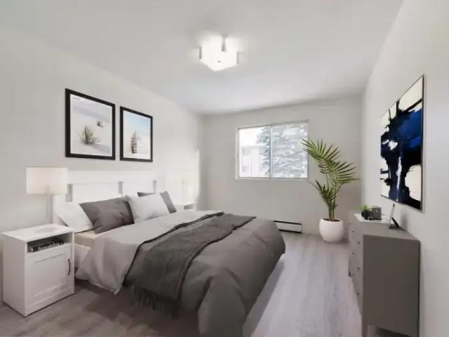 Apartment 1 Bedroom For Rent Edmonton AB 1314 ES96845299