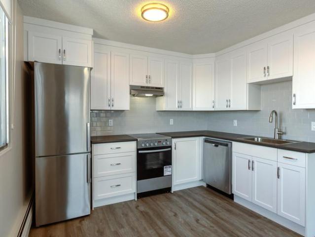 Apartment 1 Bedroom For Rent Edmonton AB 1335 ES96586106