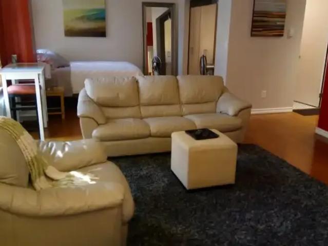 Apartment 1 Bedroom For Rent Edmonton AB 1350 ES100808623